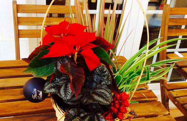 Villa dos Teixos - Foto 47