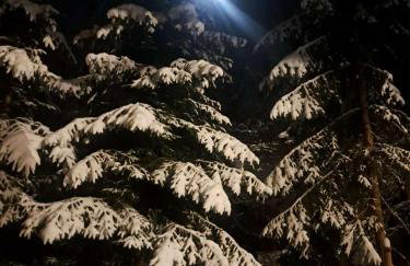 Juraszówka - Foto 33