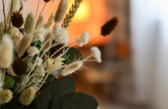 La Maison Chambourdine - Photo 13