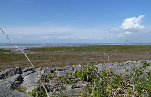 Pattys Barn Holiday Cottages, Cabins and Venue Hire - Foto 66