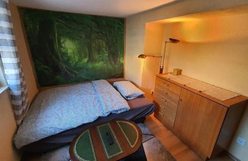 Gemütliches Haus im alten Ortskern - Foto 29