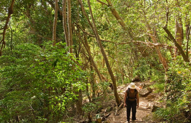 Skeleton Gorge Hiking Tour from Cape Town - Photo 2