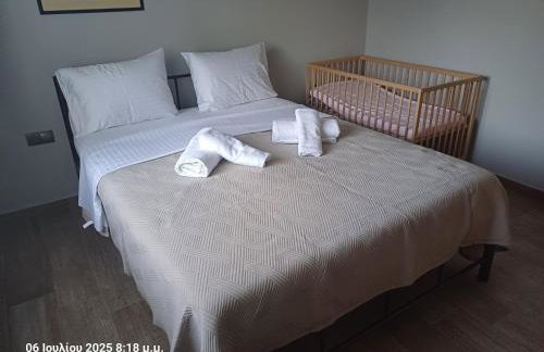 Delou-M 27 01 Luxury Apartment by Igoumenitsa - Foto 3