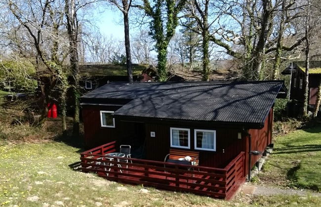 Nuthatch Lodge is set in 24 Acres of Wood, Parkland Near the Village of Cenarth - Photo 19