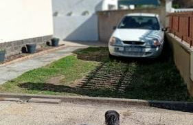 coin tranquille - Foto 8