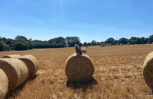 The Chaff House - farm stay apartment set within 135 acres - Foto 42