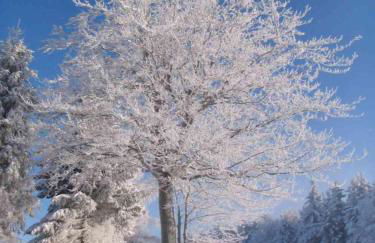 Ferienwohnung Familie Becher Klingenthal Aschberg - Photo 11