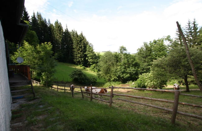 Spacious Chalet with Sauna near Ski Area in Wolfsberg - Foto 36