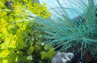 Sandy feet retreat - Photo 52