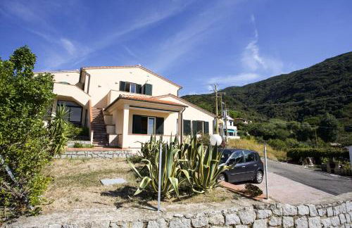 Bougainvillea Primo Piano - Goelba - Foto 25