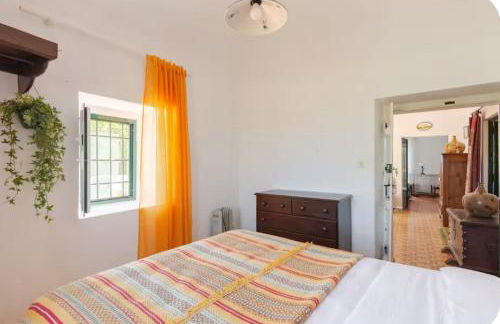 Qta Casa Seleiras - Guest House - Foto 42