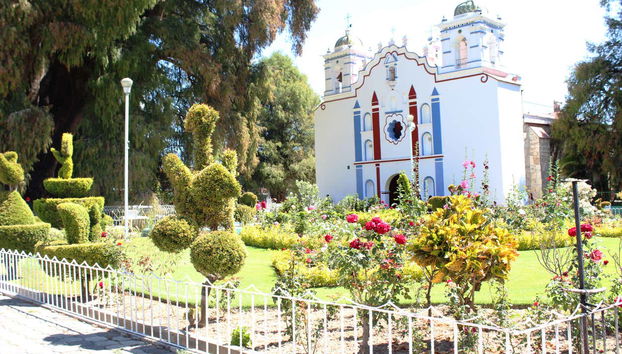 Iglesia del Tule