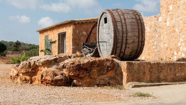 Visit Bodegas Angel with Wine Tasting - Photo 2
