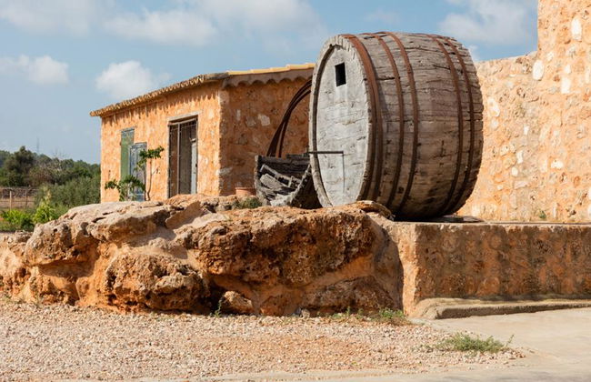 Visitar Bodegas Angel com Degustação de Vinhos - Foto 2