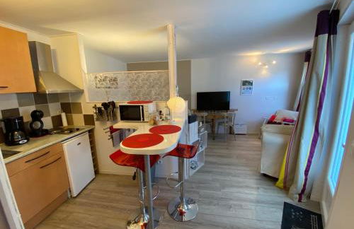 Studio rez-de-chaussée, à Lesquin/Lille aéroport - Photo 16