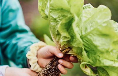 Épicos House, Your home away from home. - Foto 7