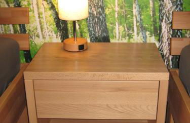 Ferienwohnung BODENSEE , Pension Wauri - Foto 52