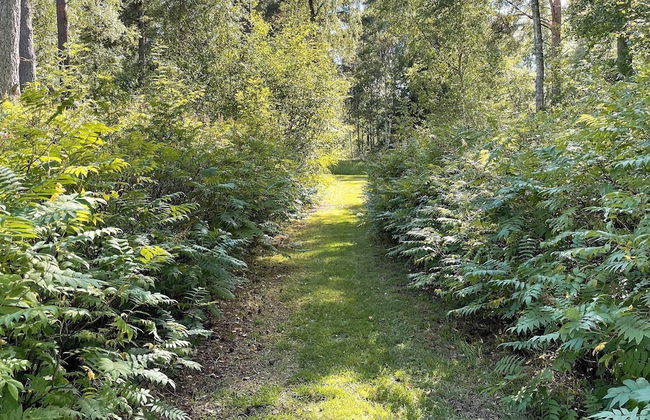 6 Person Holiday Home in Blentarp-by Traum - Foto 31