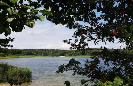 Urlaub am Seddiner See - Photo 13