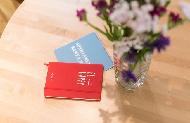 Apartamentos Santa Maria - Foto 11