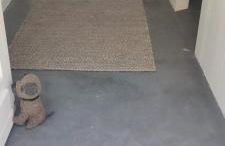 Le Pas du Loup - Photo 40