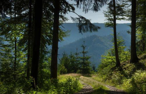 Sagenhafter Ausblick - Foto 25