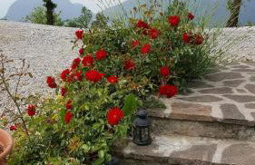 Agriturismo Al Franet - Photo 32