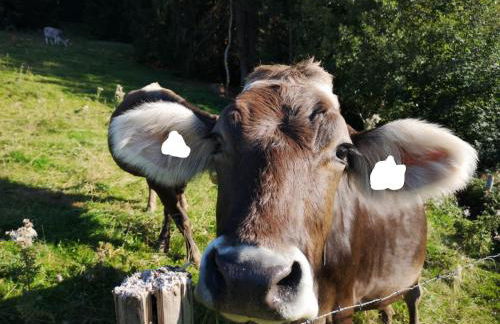 Ferienwohnung deine Auszeit im Allgäu - Foto 39