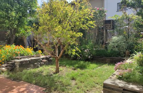 Les Papillons - Foto 2