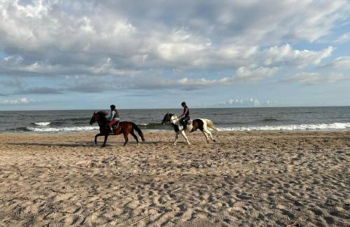 Morski Las - Foto 27