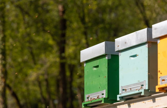 Agriturismo Borgo il Mezzanino - Foto 44