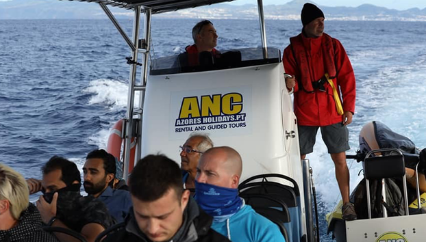 Whale Watching - Boat Tour - Foto 4
