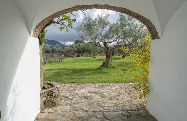 Finca El Azahar - Photo 39