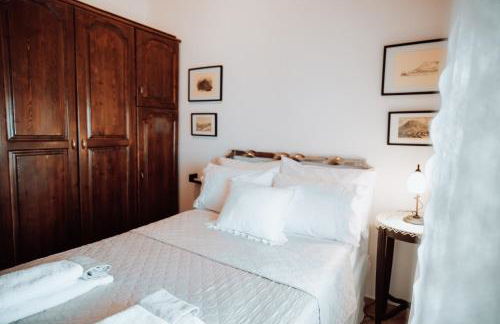 Olive Roots - Foto 51