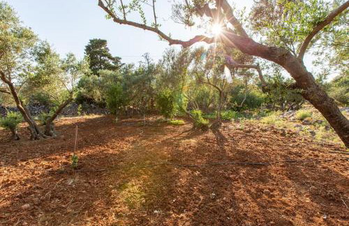 Villa Niovi - Photo 38