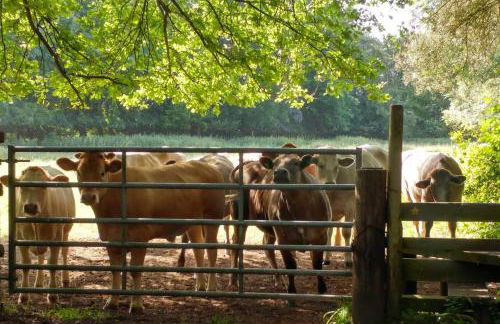 The Bird House at Woodburn Cottage - Foto 22