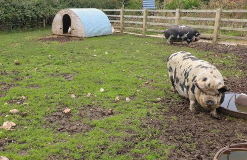 The Parlour - Foto 37