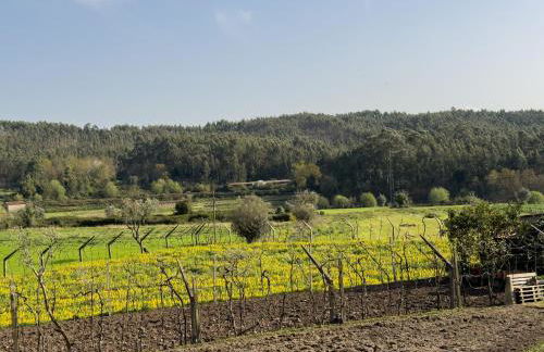 Olival House - Foto 26