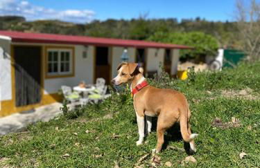 Casinha de férias no campo - Quintinha dos Cavalos - Arruda dos Vinhos - Foto 46