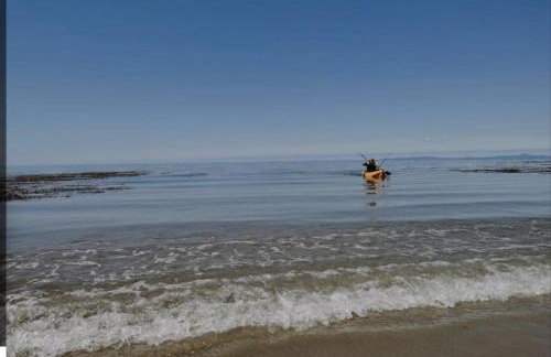 Cosy modern cottage by the sea, heart of snowdonia - Foto 10