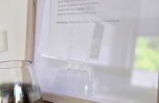 RINGZEIT-Lodge - Foto 30