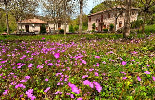 Andrea Sofi Guesthouse - Photo 39