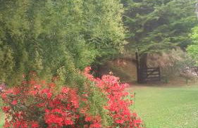 Recanto da Natureza- Chalé - Foto 42