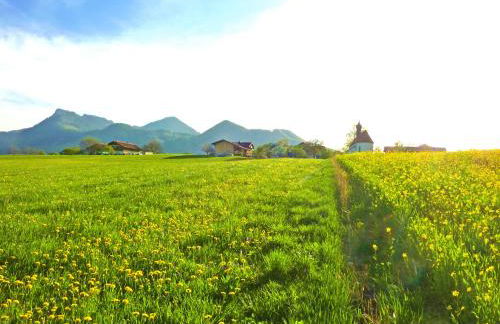 Ferienwohnungen Maurer Höhenberg - Foto 6