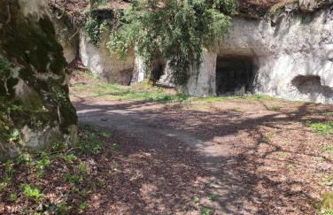 Les Délices de la Vie - Foto 15