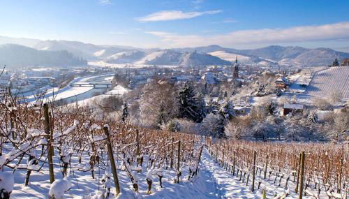 Blackforest Home Gengenbach nahe Europapark Rust - Foto 4