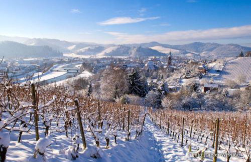 Blackforest Home Gengenbach nahe Europapark Rust - Foto 4