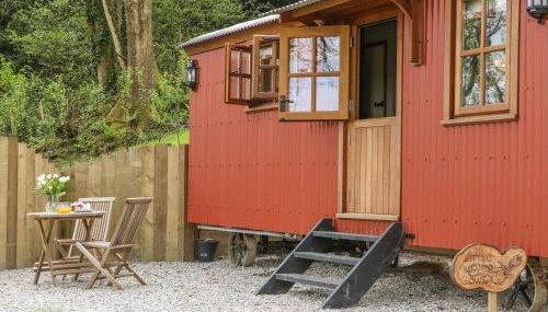 Little Silver Owl - Foto 5