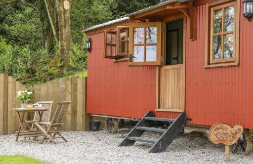 Little Silver Owl - Foto 5