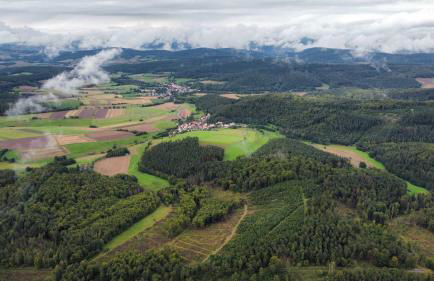 Ferienhaus Waldgefluester - Foto 20